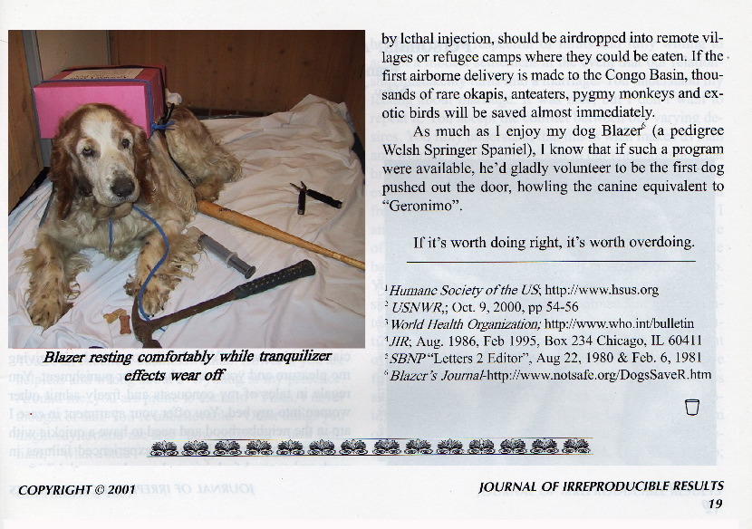StrayDog2