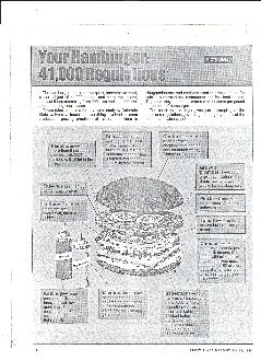 Your Hamburger 41000 regs