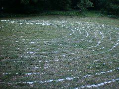 crop circles 2