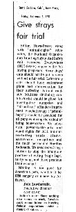 Strays enlarged image